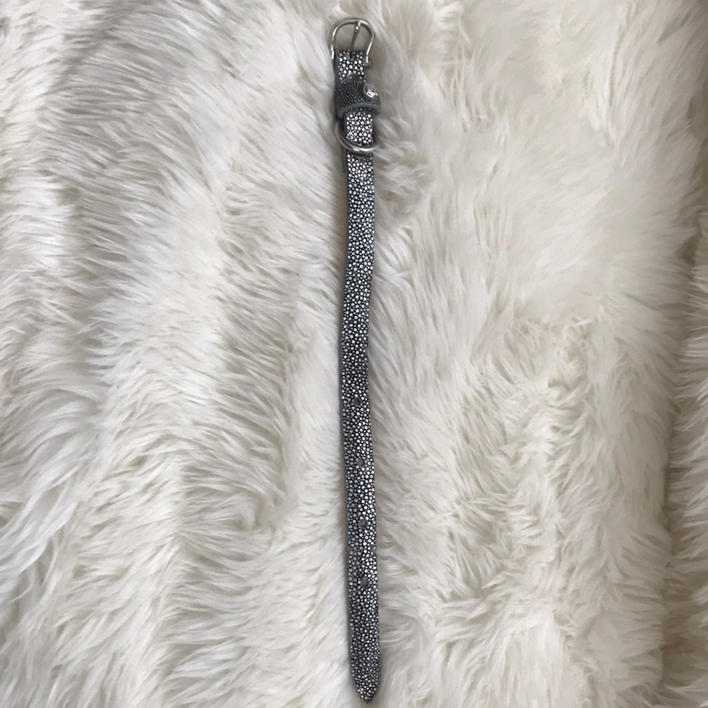Genuine Stingray Luxury Dog Collar